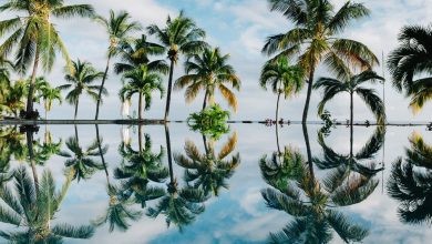 Photo of Behangtrends