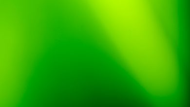 Photo of Groene muurverf