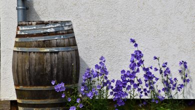 Photo of Gadgets voor in jouw tuin!