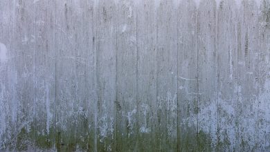 Photo of Wat te doen tegen groene schimmel in huis