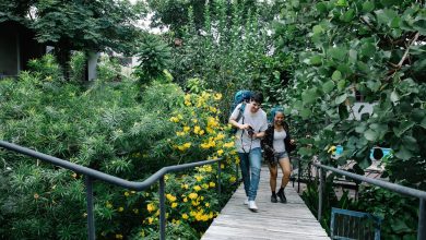 Photo of Composiet is ideaal voor de tuin