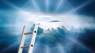 Photo of Dit is waarom jij ladders en trappen moet halen bij Van Eldik