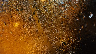 Photo of Vocht laten bestrijden: waarom en hoe?