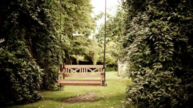 Photo of Goedkoop genieten in je eigen tuin: de mooiste low budget tuin ideeën