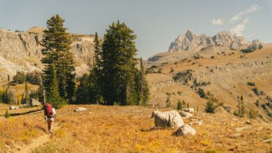 Photo of Onbekende telefoontjes: wat te doen bij een oproep van +31 50 808 02 53