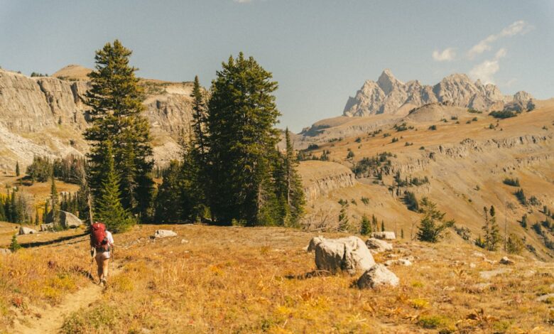 Onbekende telefoontjes: wat te doen bij een oproep van +31 50 808 02 53
