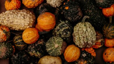 Photo of Zo maak je eenvoudig je oven schoon met een vaatwastablet