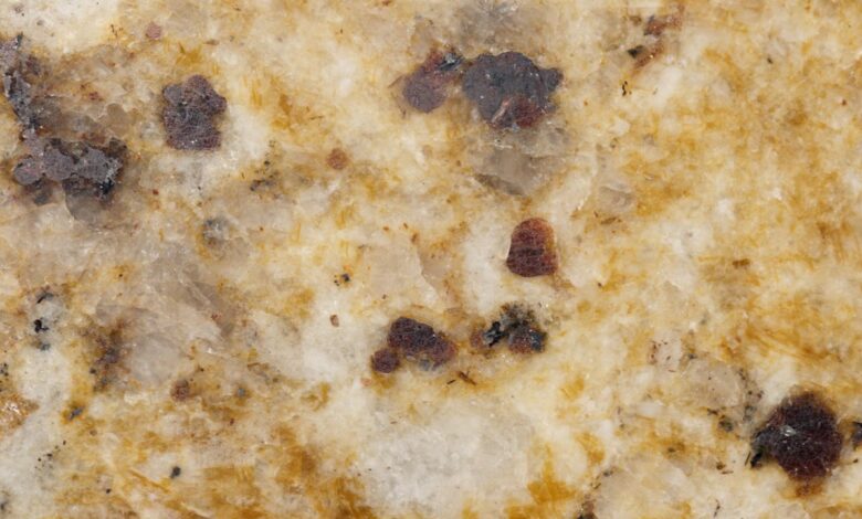 Vochtproblemen herkennen en zwam voorkomen