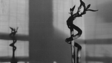 Photo of Fris en schoon: zo maak je gemakkelijk je jaloezieën schoon