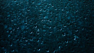 Photo of Zo houd je de douchecabine fris en stralend schoon