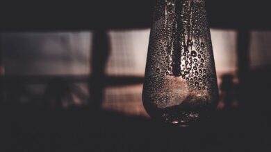 Photo of Zo maak je je huis droger: tips om de luchtvochtigheid in huis te verlagen