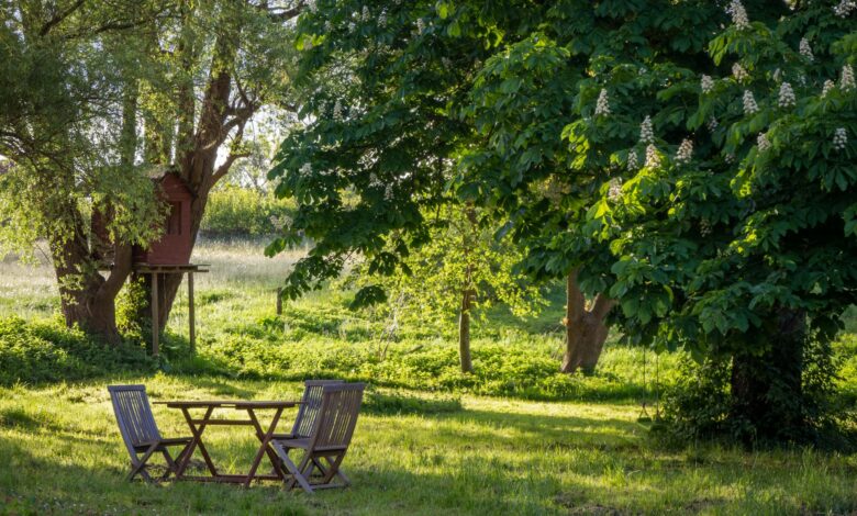 De zithoek in je tuin gezellig inrichten? Zo maak je er een sfeervolle plek van