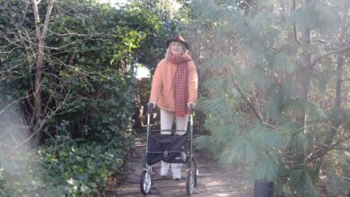 Photo of Wellness in je eigen tuin: zo pak je het aan