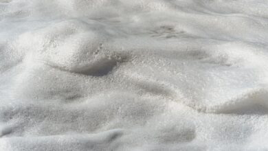 Photo of Dak isoleren met PUR-schuim: wat je moet weten voor je begint