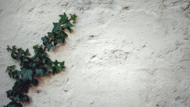 Photo of Subsidie voor kruipruimte isoleren: dit zijn je opties in 2026