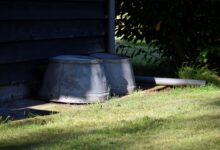 Photo of Afvoer tuin: zo verwerk je regenwater zonder het riool te belasten