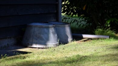 Photo of Afvoer tuin: zo verwerk je regenwater zonder het riool te belasten